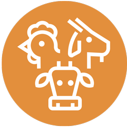 agriculture and animal science icon