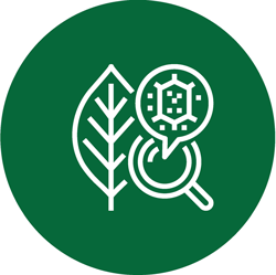 Biology curriculum icon