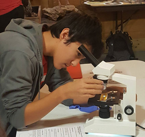 biology student using microscope