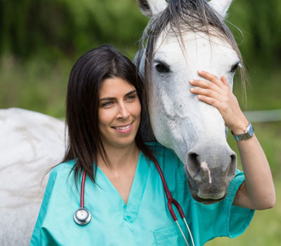 Young woman, veterinarian, in blue scrubs with stethescope around neck; her arm is around a horse's neck.